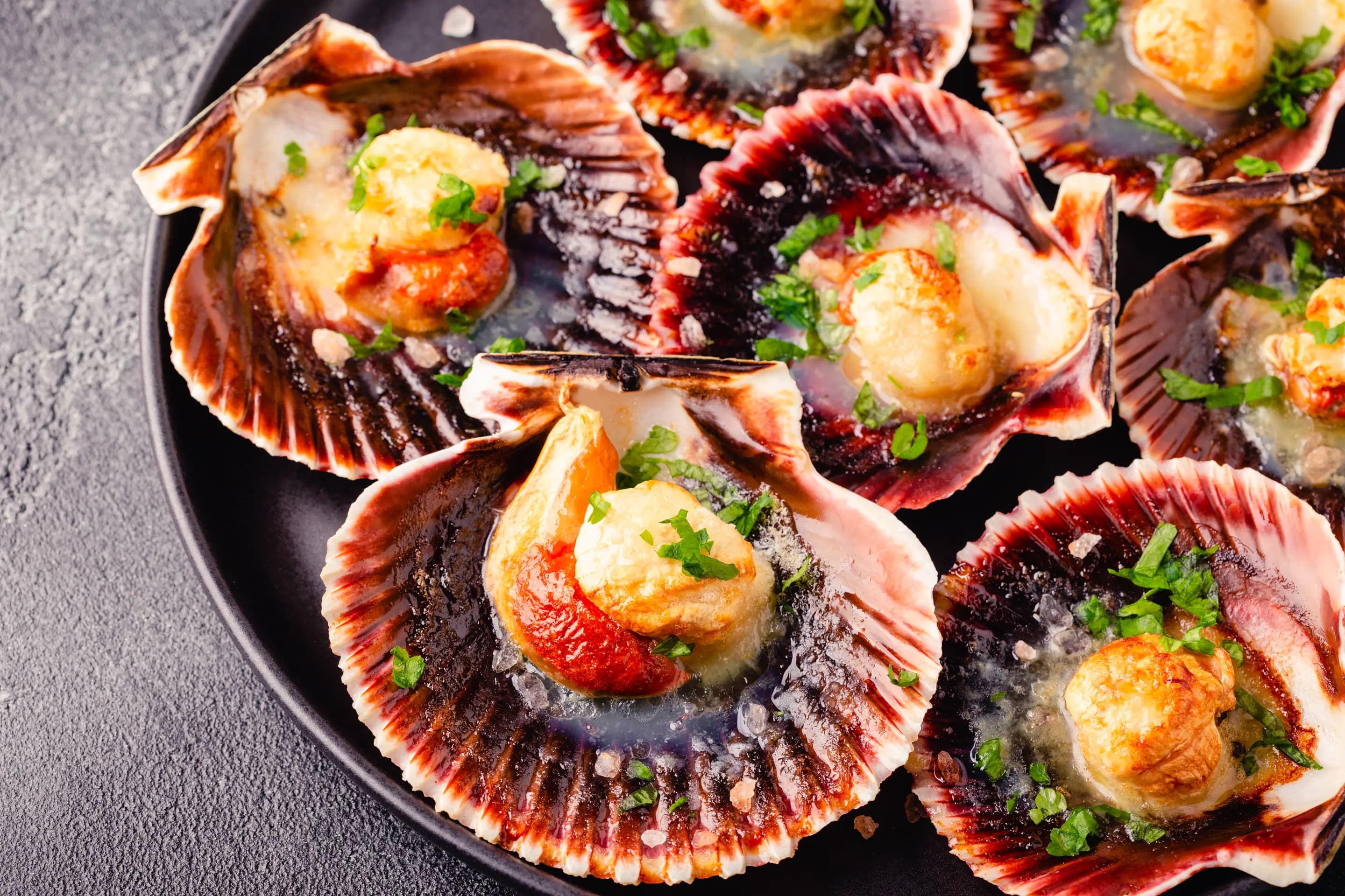 Gegrillte Jakobsmuscheln